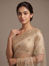 White Net Saree - Close Up
