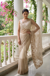 White Net Saree - Hero
