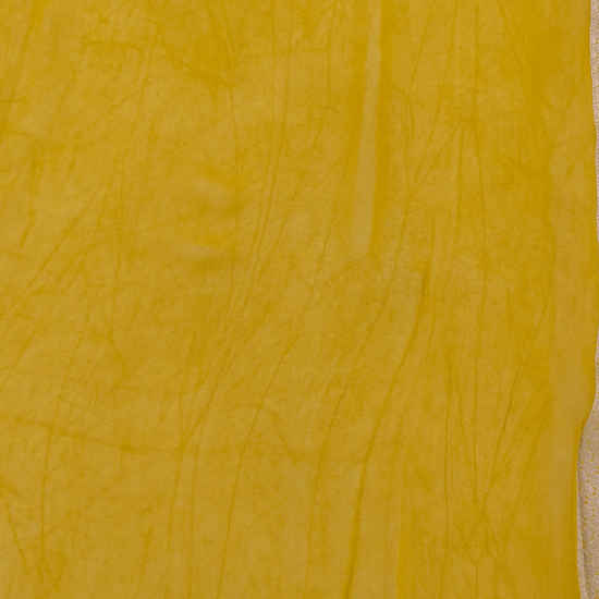 Mango Gold Pista Georgette Saree - Blouse