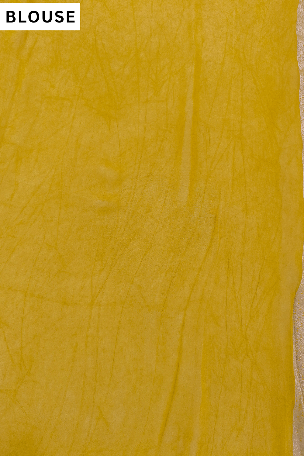 Mango Gold Pista Georgette Saree - Blouse