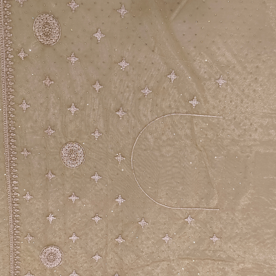 Mehndi Net Saree - Blouse