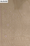 Mehndi Net Saree - Blouse