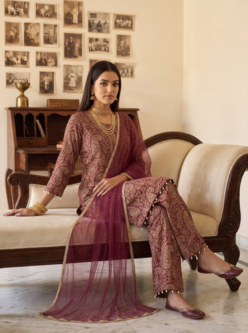 Spiced Paisley Dark Gajari Georgette Readymade Suit - mood