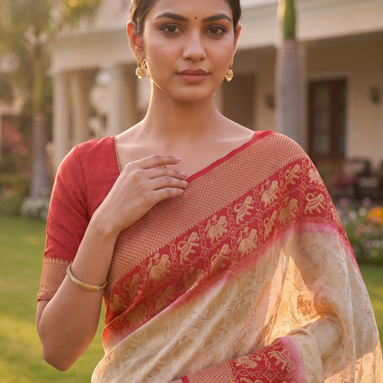 White Red Georgette Saree - Close Up