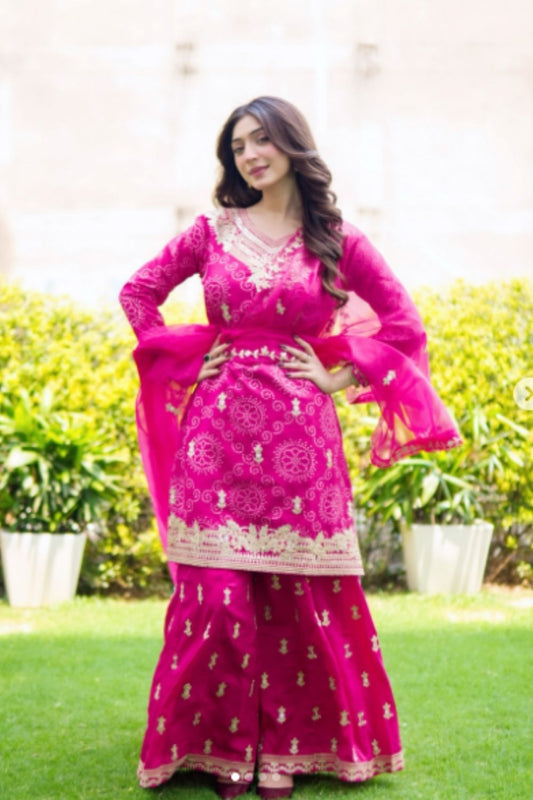 Rani Chinon Readymade Sharara Set With Organza Dupatta (Ft. Priyanka Khera)