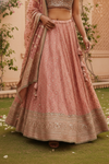 Gajari Dolna Lehenga Set And Net Dupatta With Readymade Blouse