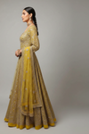 Lemon Gold Net Lehenga Set And Net Dupatta With Readymade Blouse