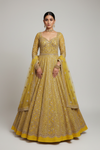 Lemon Gold Net Lehenga Set And Net Dupatta With Readymade Blouse