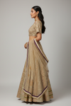 Pista Banarasi Silk Lehenga Set And Net Dupatta With Readymade Blouse