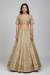 Pista Banarasi Silk Lehenga Set And Net Dupatta With Readymade Blouse