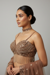 Brown Net Lehenga Set And Net Dupatta With Readymade Blouse