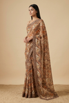 Chikoo Shimmer Saree With Unstitched Blouse