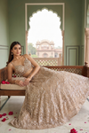 Timeless Beauty Tussar Organza Lehenga Set And Net Dupatta With Readymade Blouse