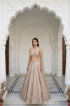 Timeless Beauty Tussar Organza Lehenga Set And Net Dupatta With Readymade Blouse