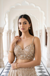 Timeless Beauty Tussar Organza Lehenga Set And Net Dupatta With Readymade Blouse