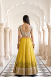 Pista Gold Organza Lehenga Set And Tissue Dupatta With Readymade Blouse