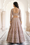 Timeless Beauty Tussar Net Lehenga Set And Net Dupatta With Readymade Blouse