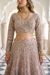 Timeless Beauty Tussar Net Lehenga Set And Net Dupatta With Readymade Blouse